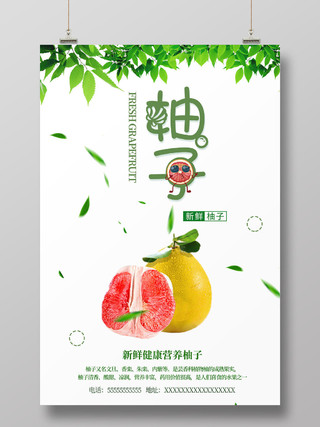 白色清新水果柚子红柚宣传海报